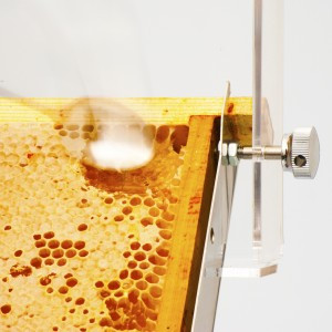 DISPENSER miele con supporto favo e raccoglitore